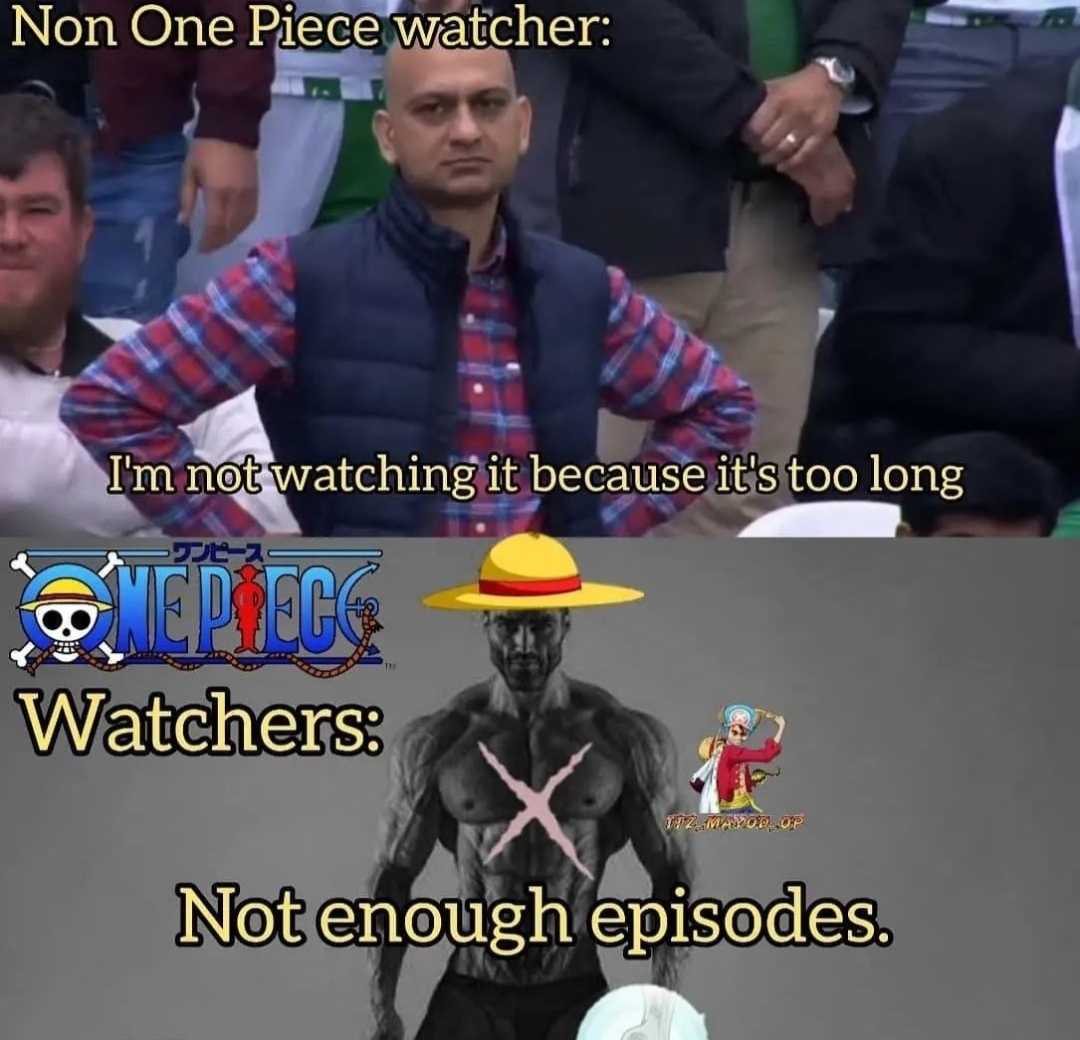 anime one piece watchers not enough episodes