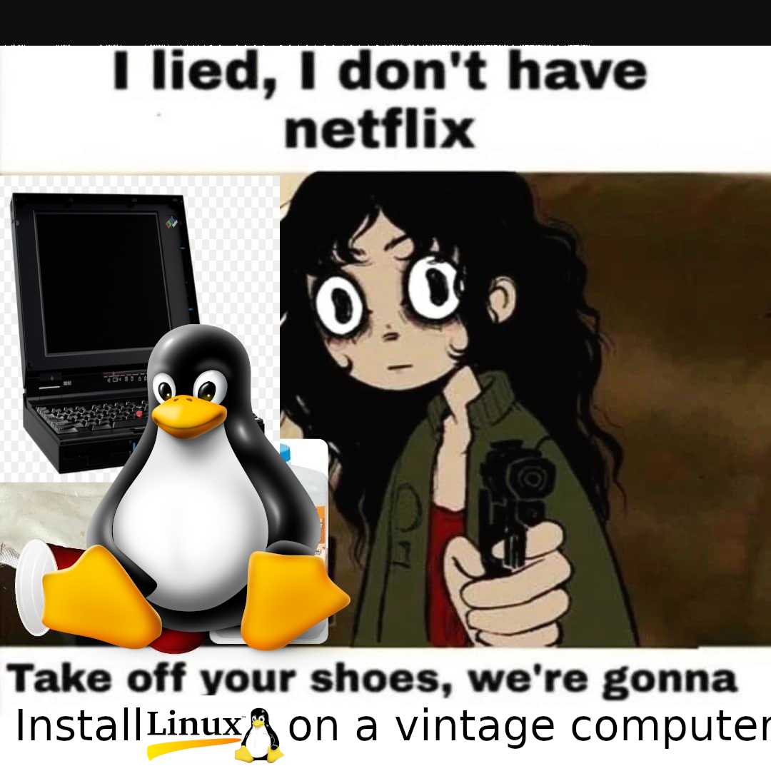 penguin and penguingirl are looking at a laptop with a caption