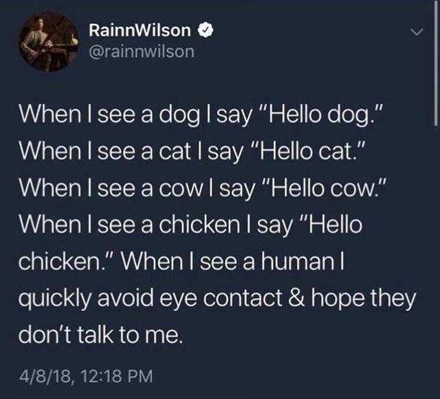 a tweet with a dog saying, when i see a dog say hello