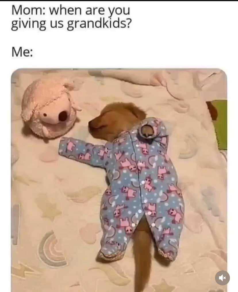 araffe dog in pajamas with a teddy bear on a bed