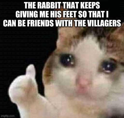 araffe cat giving the thumbs up with caption saying the rabbit that keeps giving me his feet so that i can be friends with the villagerss