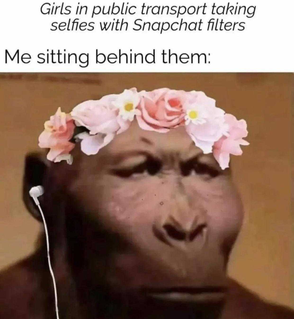 a close up of a monkey with flowers in its head