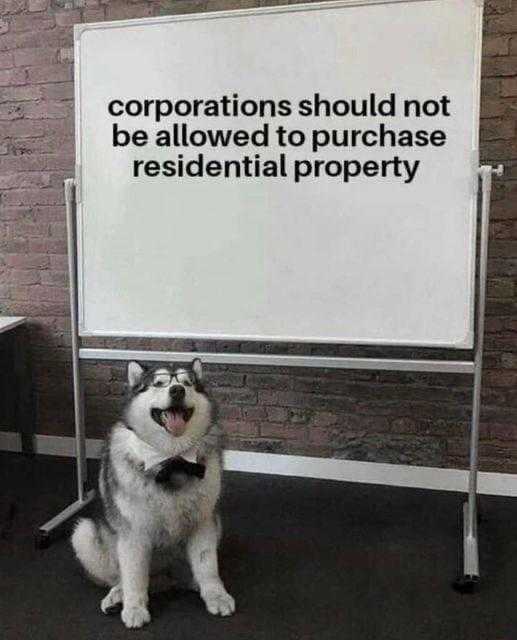 husky dog sitting in front of a white board with a sign on it