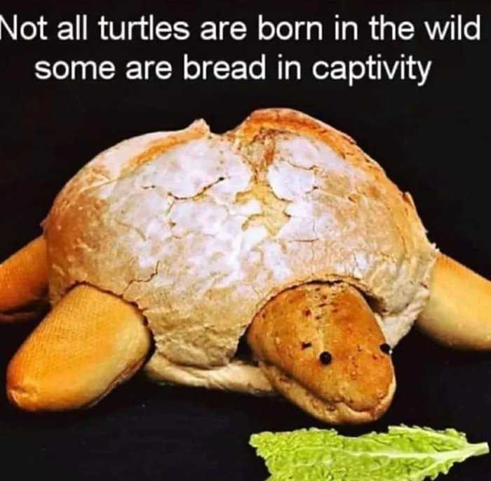 there is a turtle made out of bread and lettuce on the table