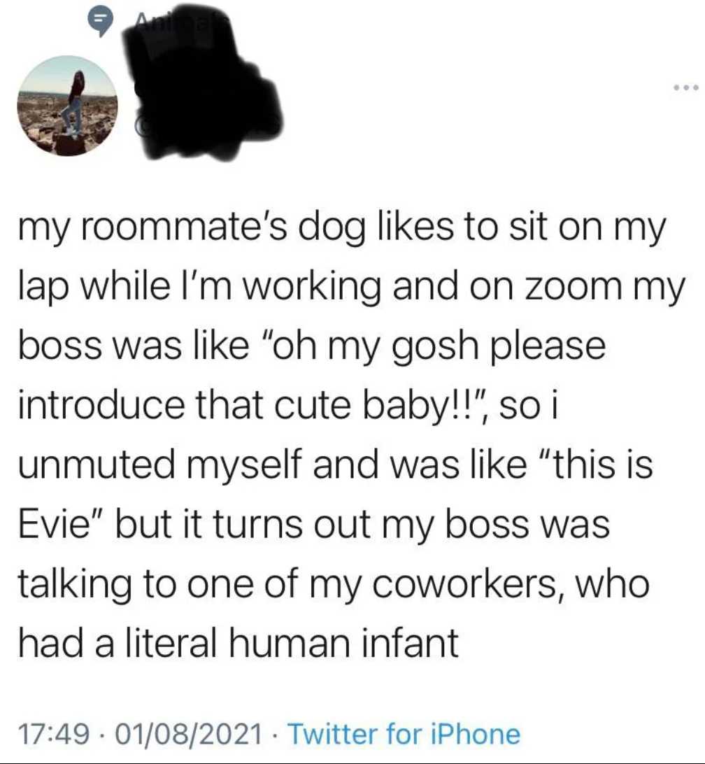 a tweet with a picture of a dog and a caption of a person