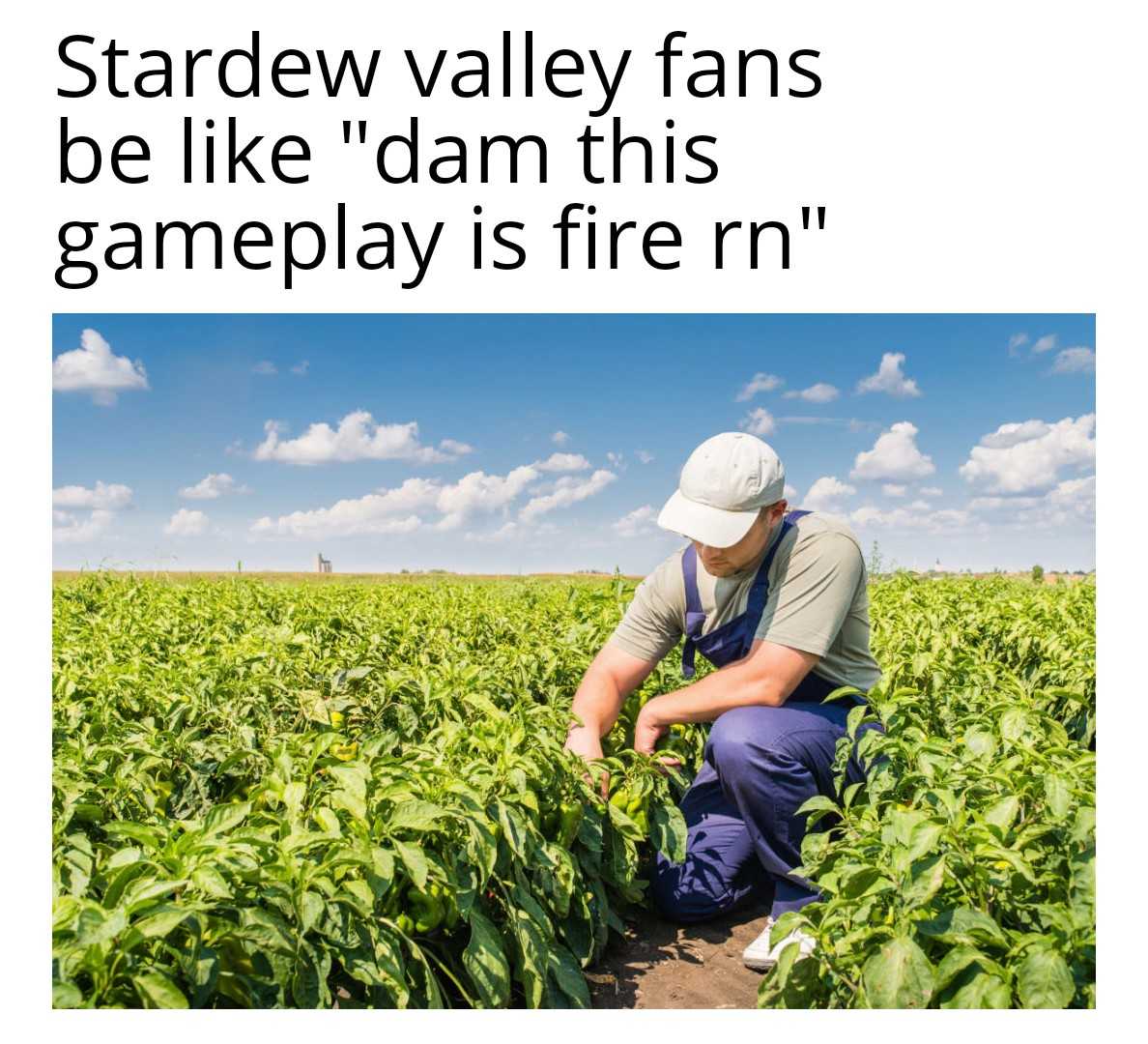 image of a farmer in a field with a quote about the game