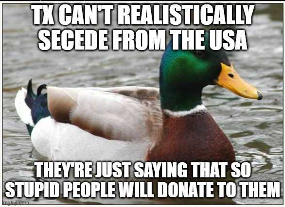 a close up of a duck in the water with a caption saying, tx can ' t realistically