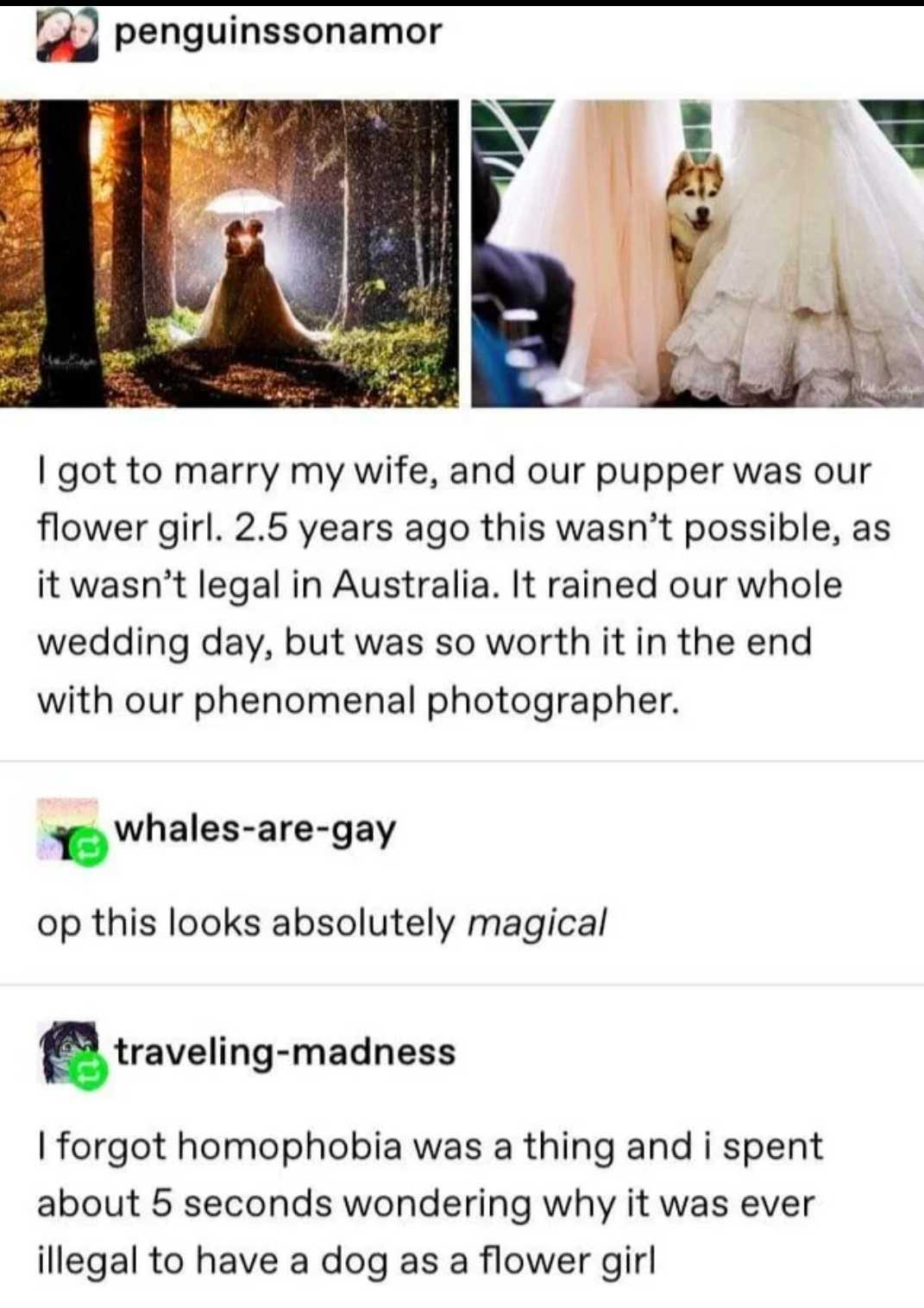 a screenshot of a couple of people in wedding dresses