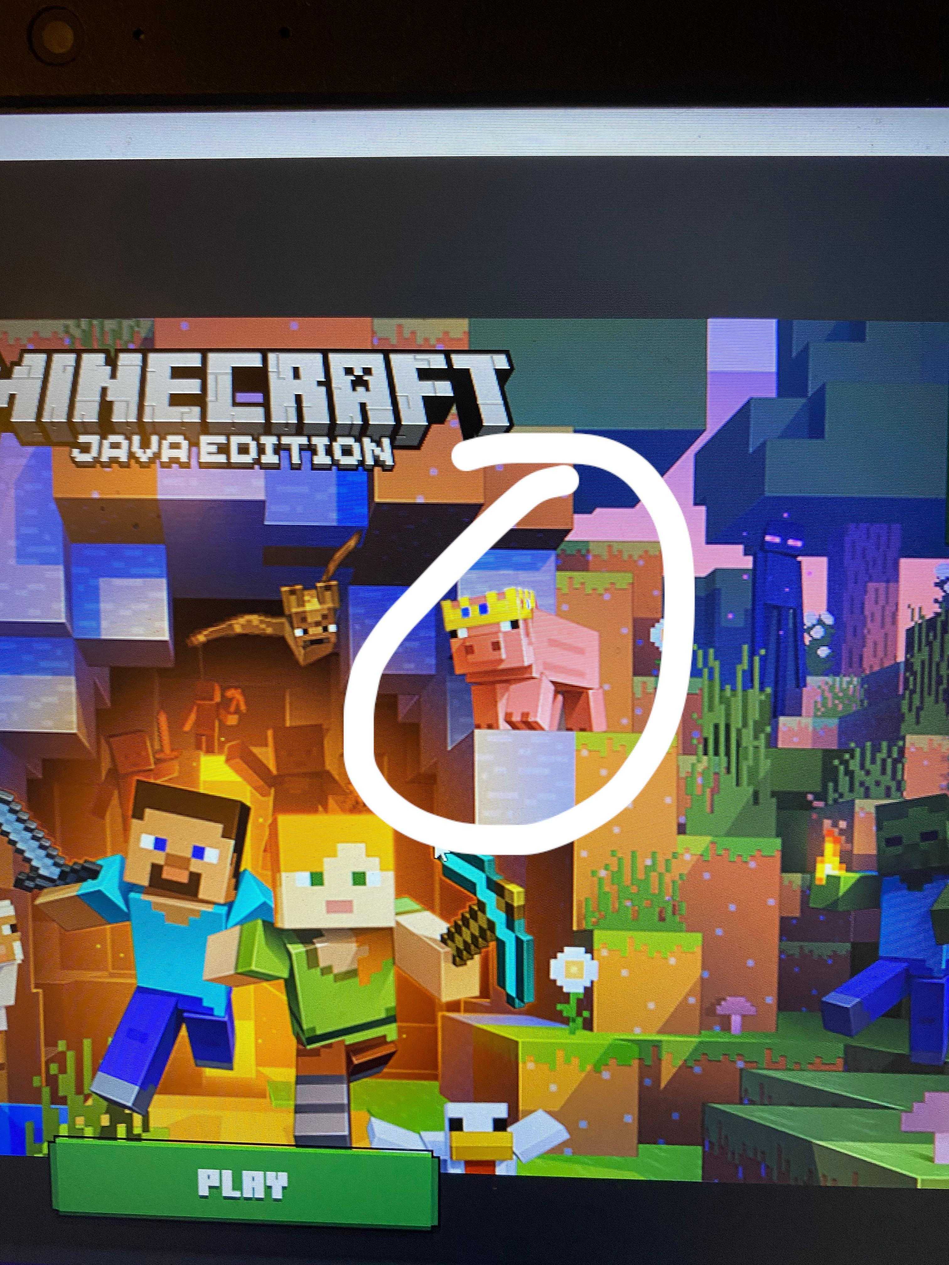 there is a picture of a computer screen with a minecraft game on it