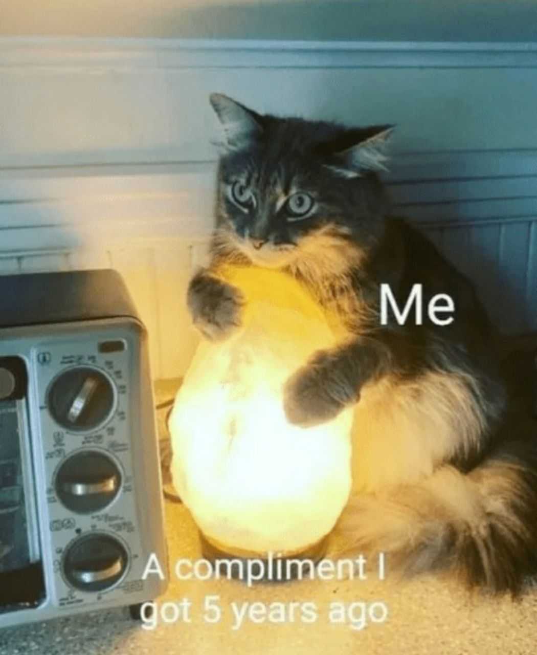 there is a cat that is sitting on the floor next to a microwave