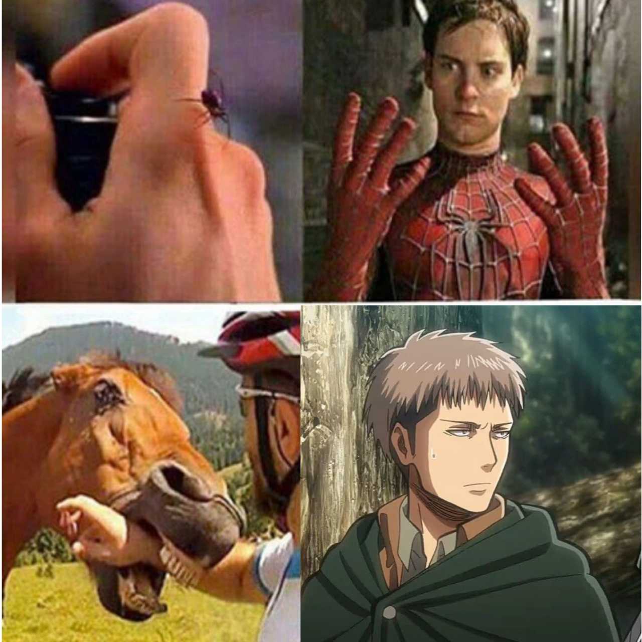 a close up of a person holding a horse ' s nose and a spider - man