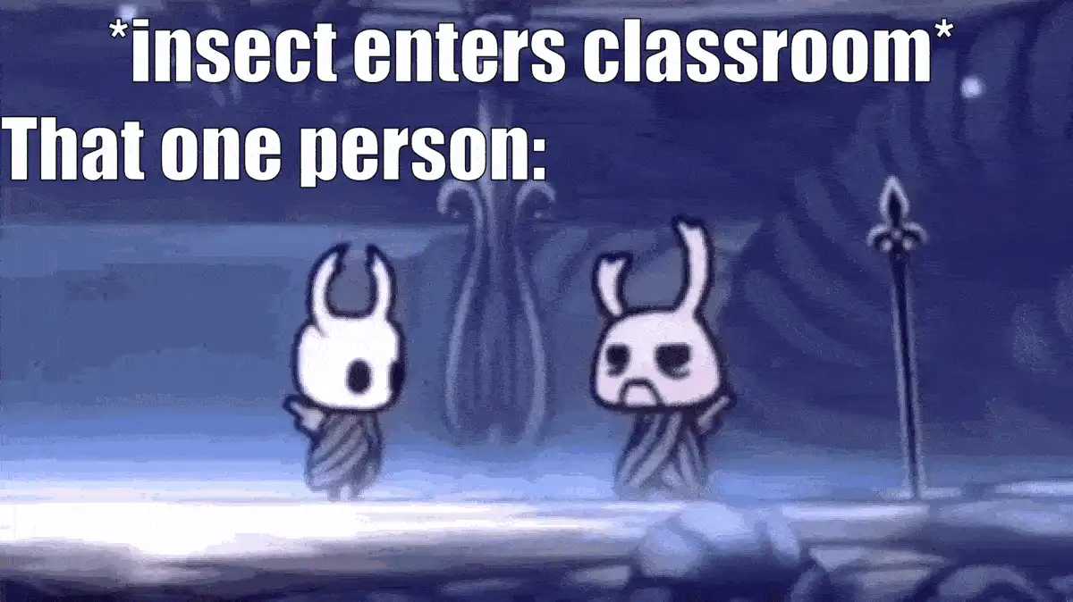 cartoon of two rabbits with a spear and a sign that says insect enters classroom that one person