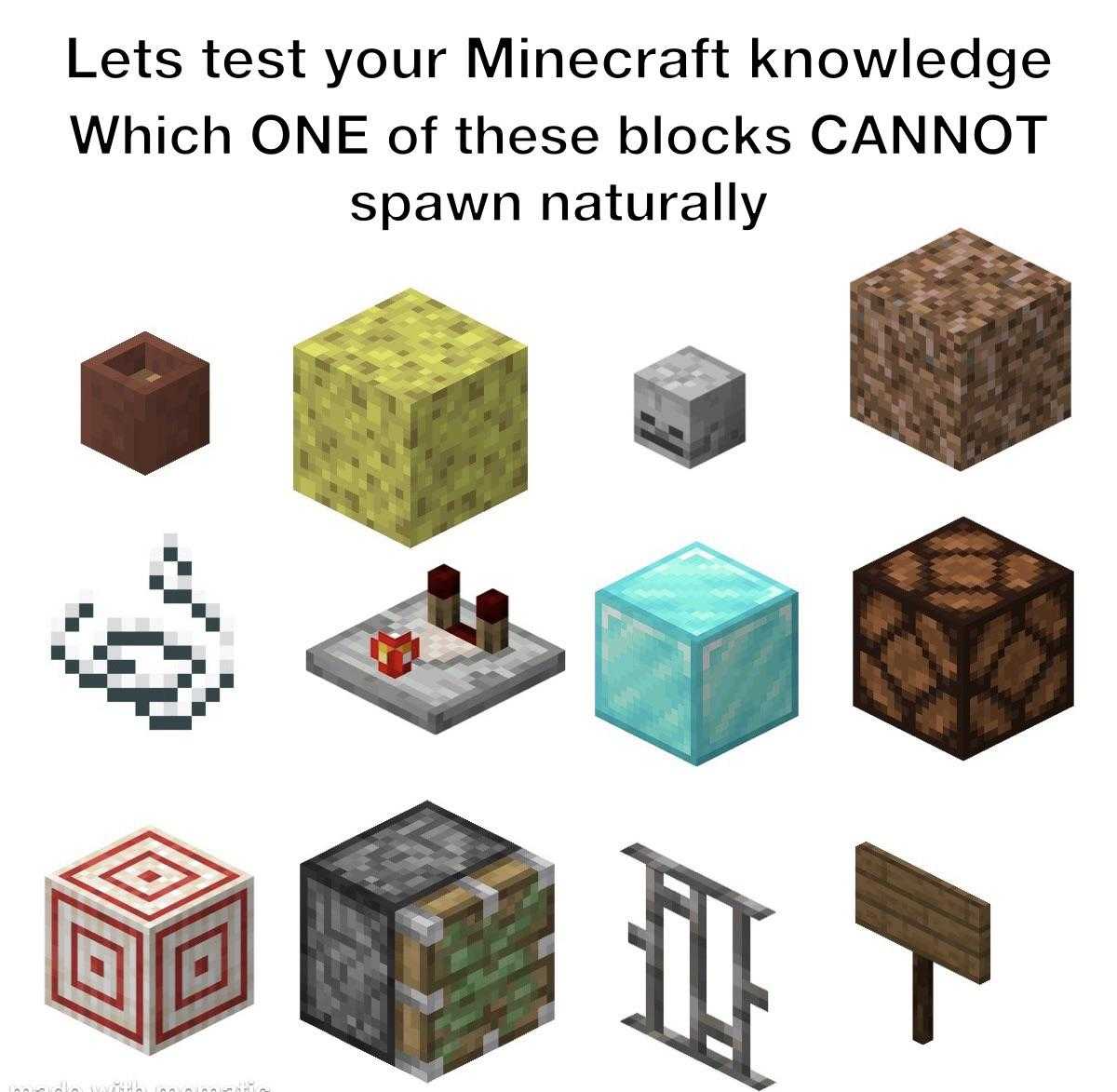 a group of different types of blocks with text that reads let ' s test your minecraft knowledge which one