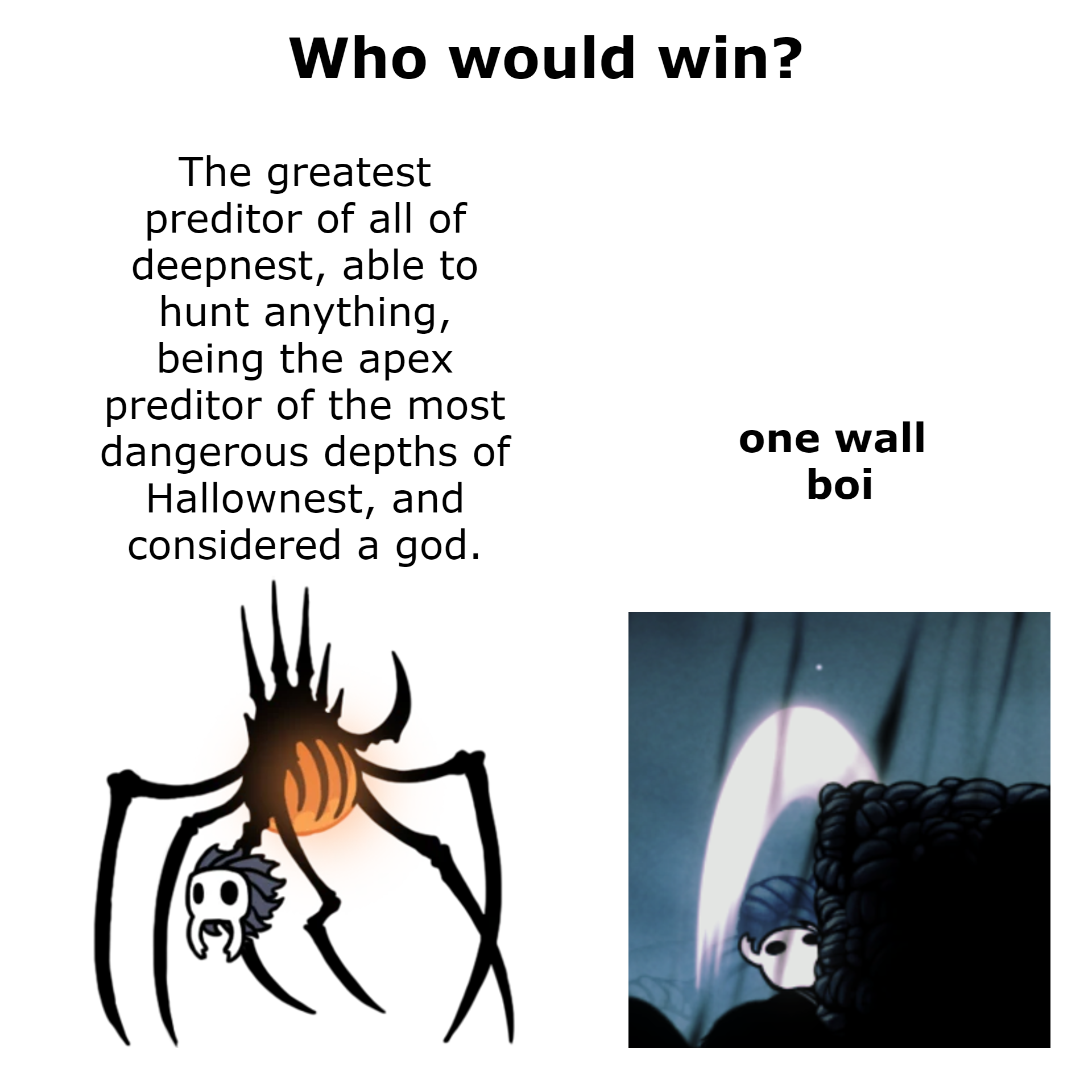 a picture of a spider with a caption that reads who would win