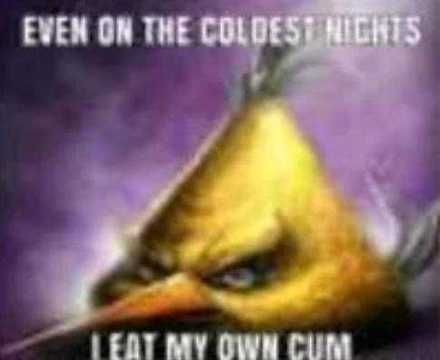 a poster with a bird ' s face and a caption of the words, even on the coldest