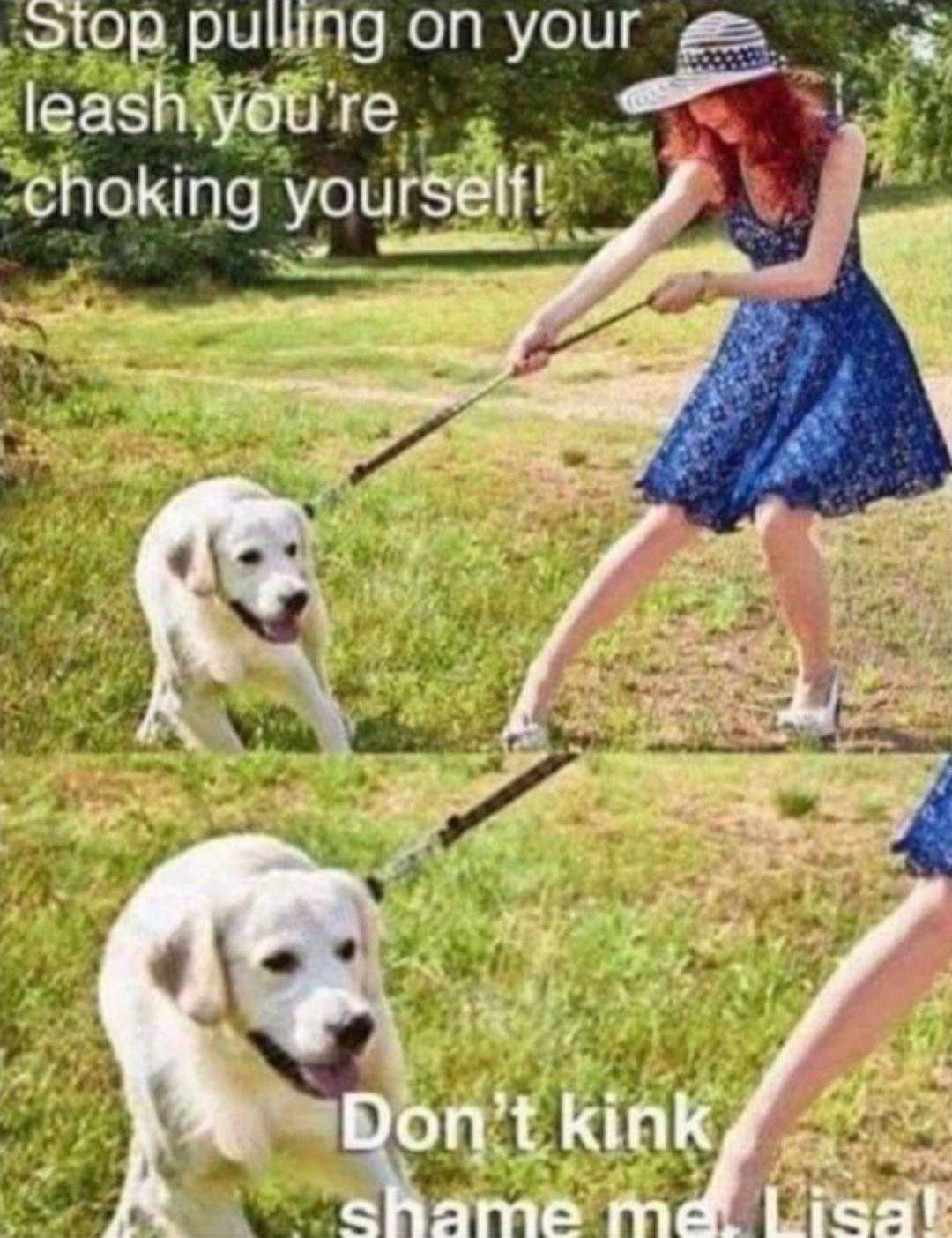 a woman in a blue dress pulling a white dog on a leash