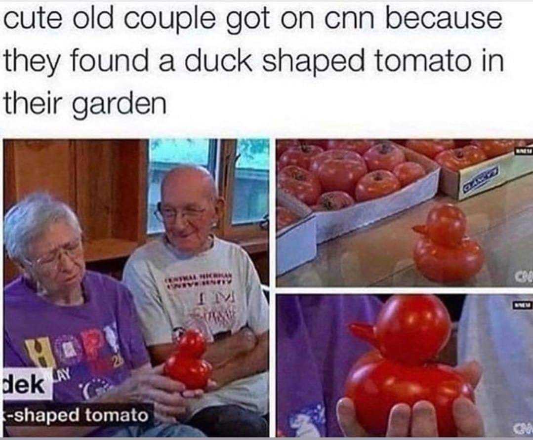 a couple of people sitting next to each other holding tomatoes