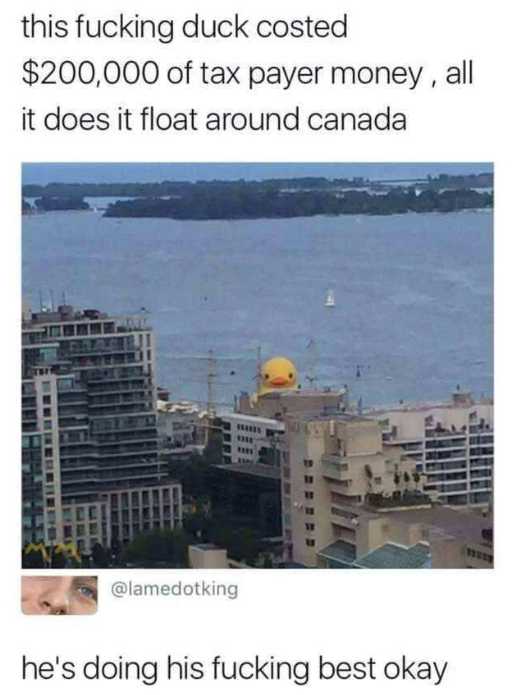 a picture taken from a high rise building shows a duck on top of a building