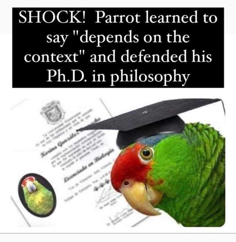 a close up of a parrot wearing a graduation hat and a diploma