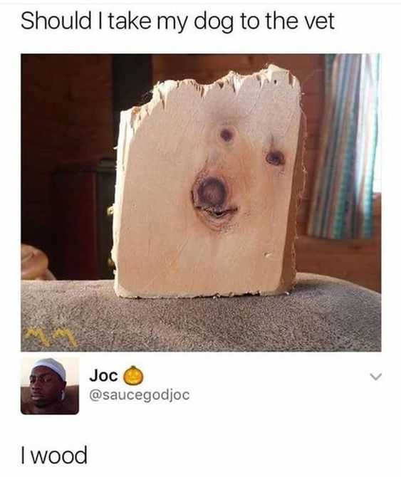 dog sitting on a couch with a piece of wood sticking out of it