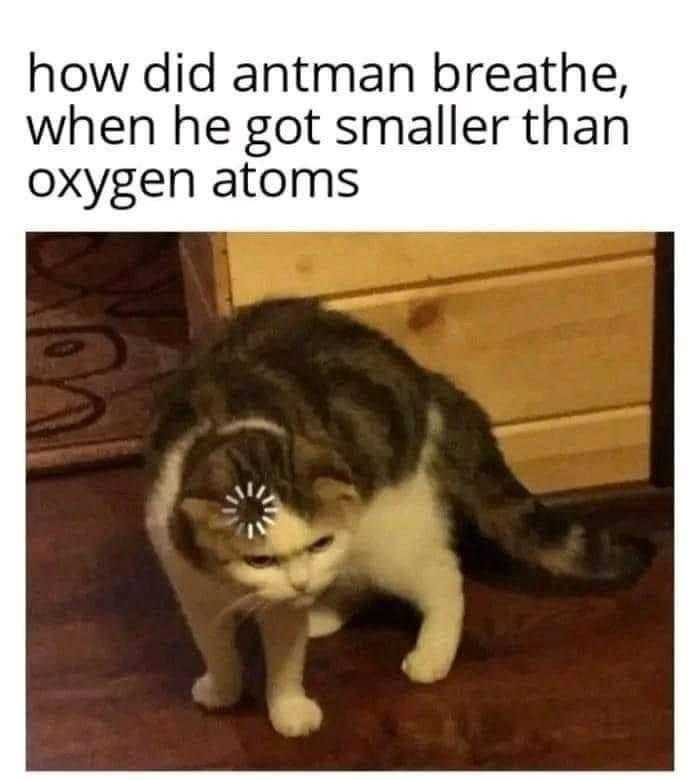 cat standing on the floor with caption of caption saying, how did antman breathe when he got smaller than oxygen atoms