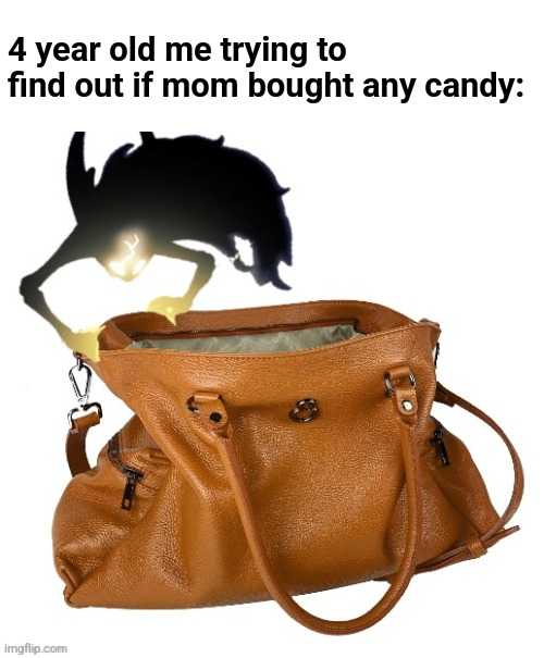 a brown purse with a horse on it and a light shining on it