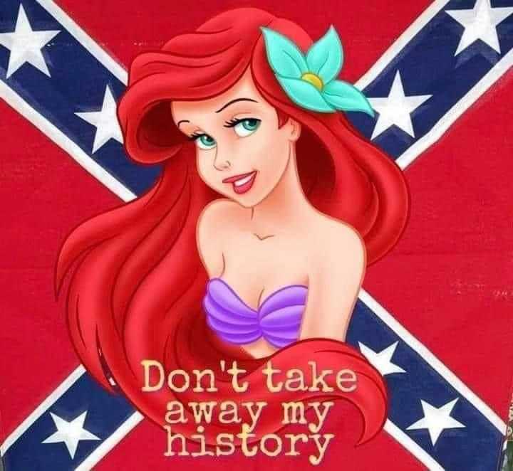 disney princess ariel with a confederate flag in the background