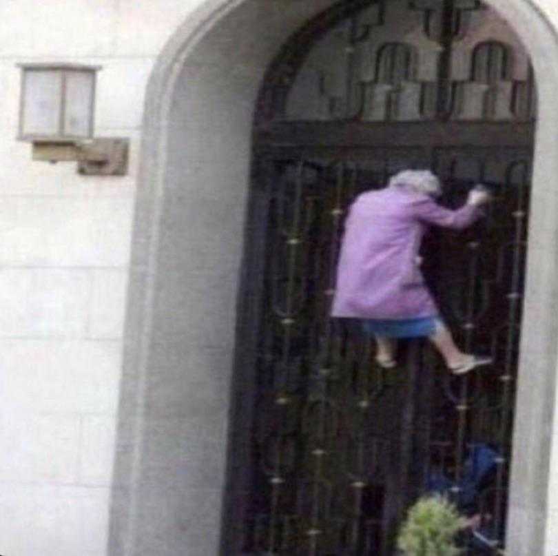 araffe jumping over a gate into a building with a dog