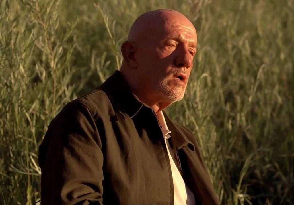 man sitting in a field of tall grass