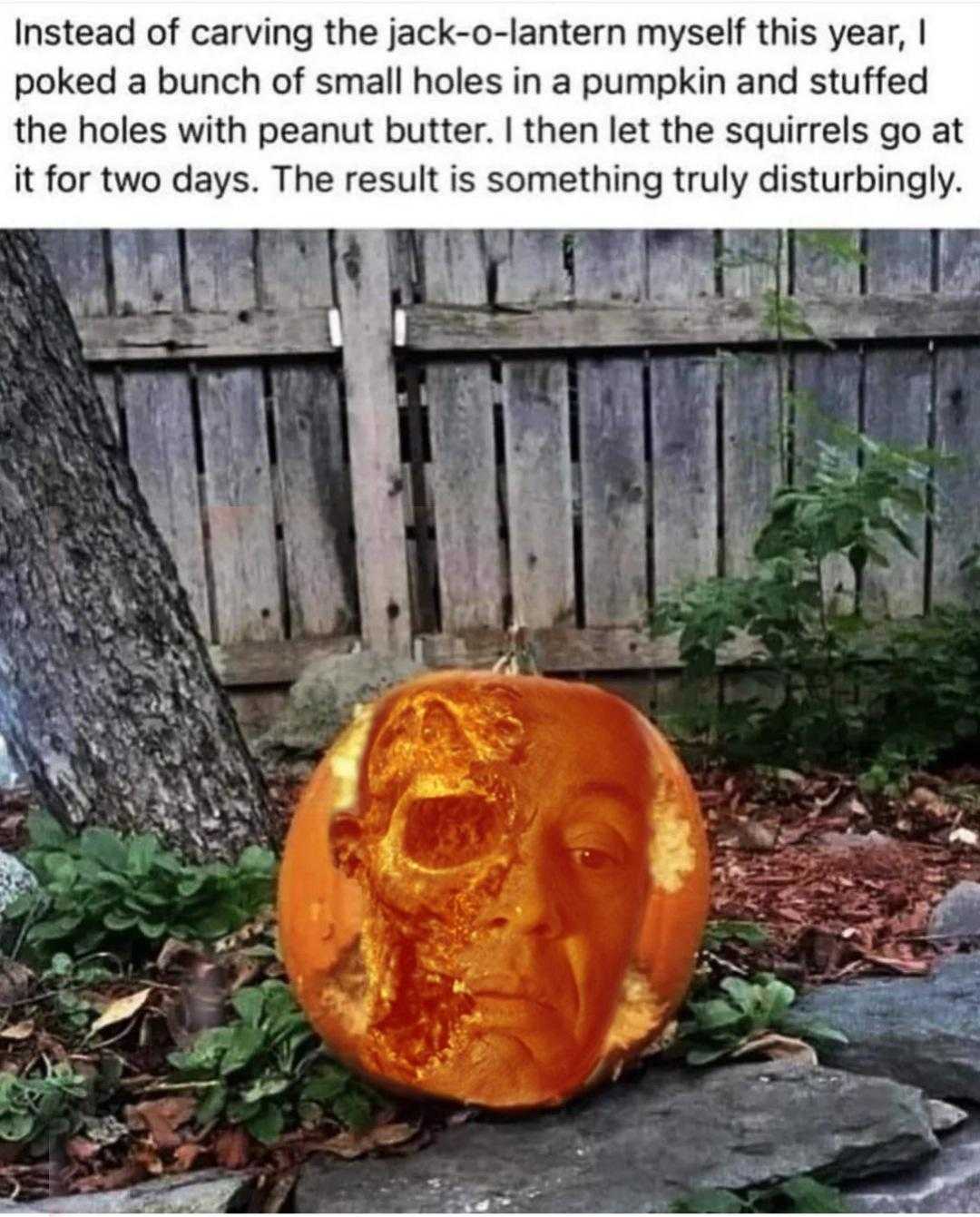 a close up of a pumpkin carved into a face on a rock