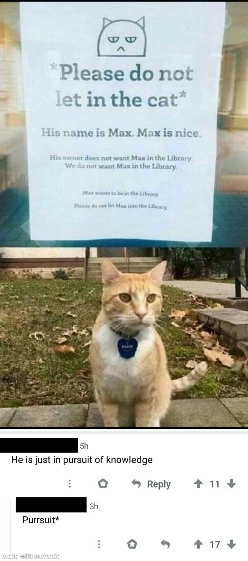 there is a cat that is sitting in front of a sign