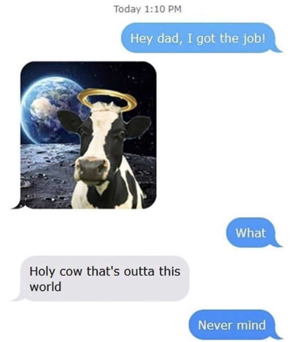 a close up of a text message with a cow on the moon