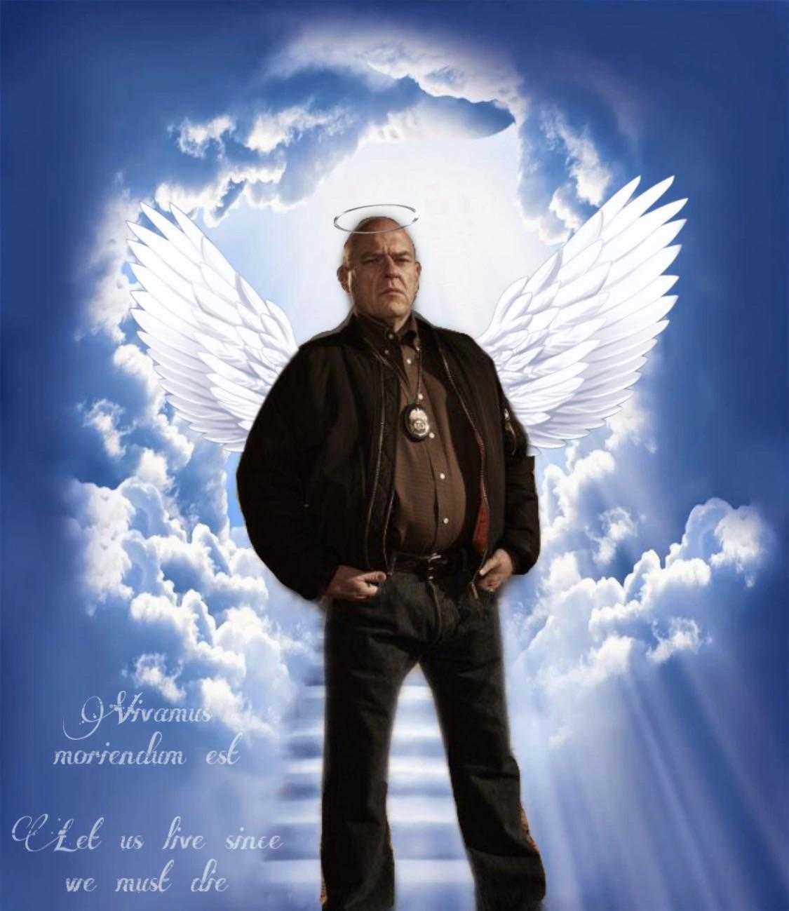 image of a man with a large angel wings