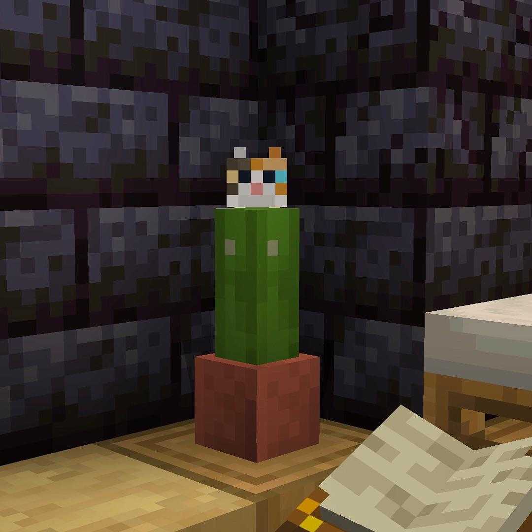 there is a pixel image of a cactus in a minecraft room