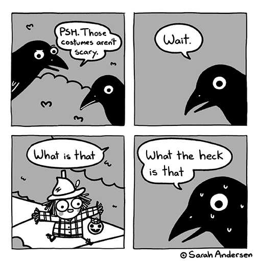 a comic strip with a cartoon of a bird and a bird with a hat