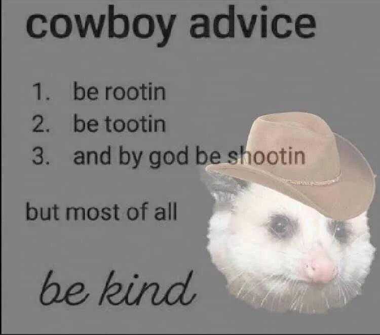 cowboy advice for a cat