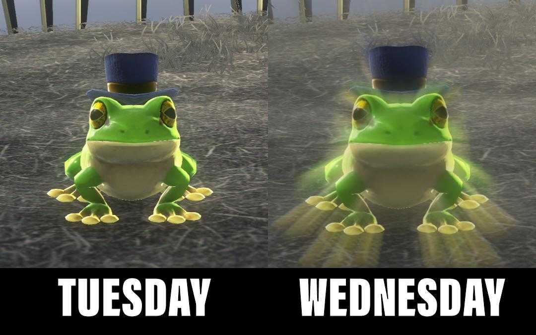 there are two frogs that are wearing hats and standing in the grass