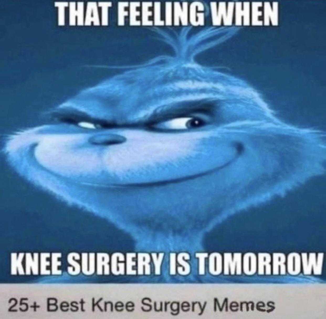 a picture of a picture of a cat with a caption that reads, that feeling when knee surgery is tomorrow