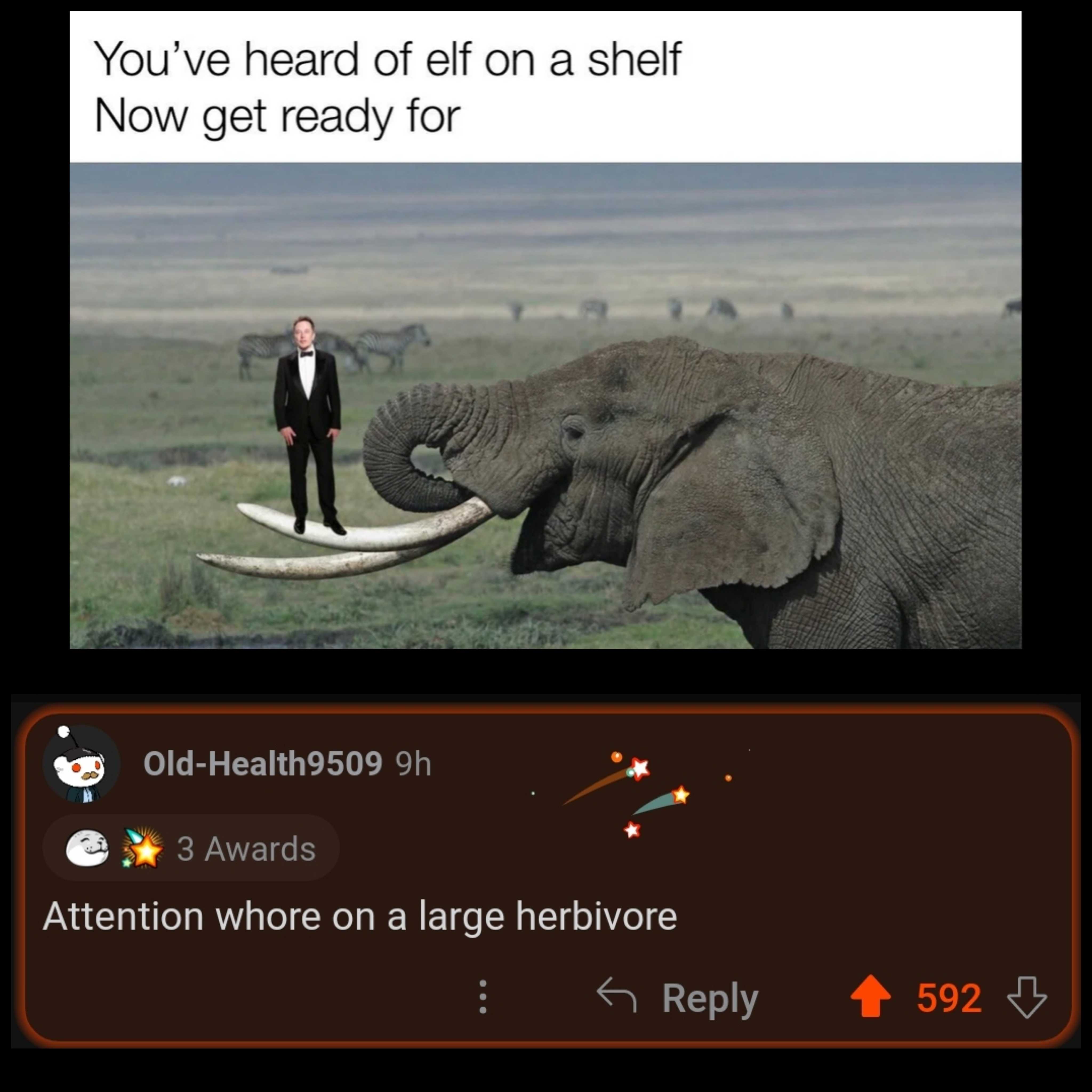 someone is standing on an elephant ' s trunk and a man is standing on it