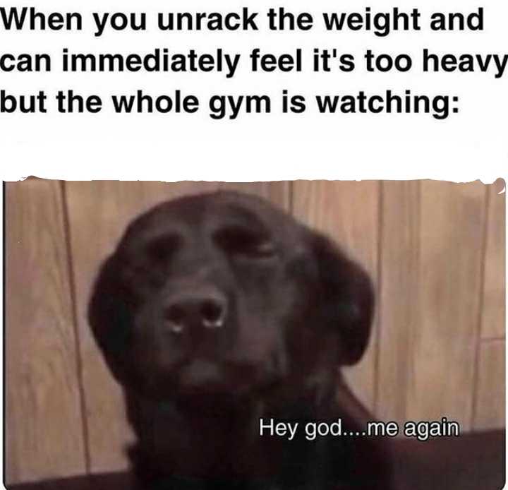 black dog with a caption saying when you unpack the weight and can immediately feel it ' s too heavy but the whole gym is watching