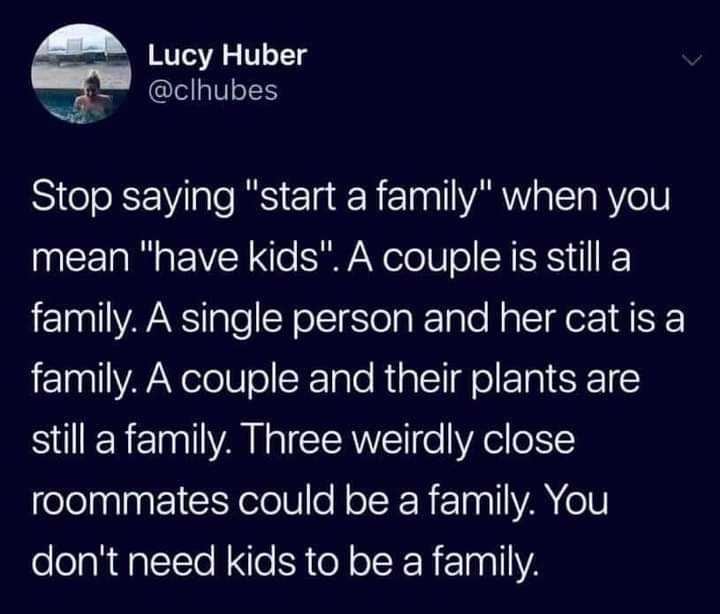 a screenshot of a twee with a caption of a family saying stop saying start a family when you mean have kids ' a couple is still a family a single person and their cat a family a family a couple and their family