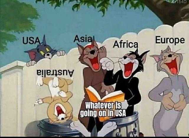 cartoon of a group of cats sitting on a stool with caption of the usa, africa, and the pliesny