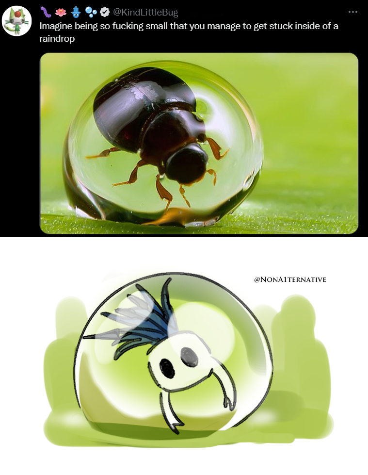 there are two pictures of a ladybug in a glass ball