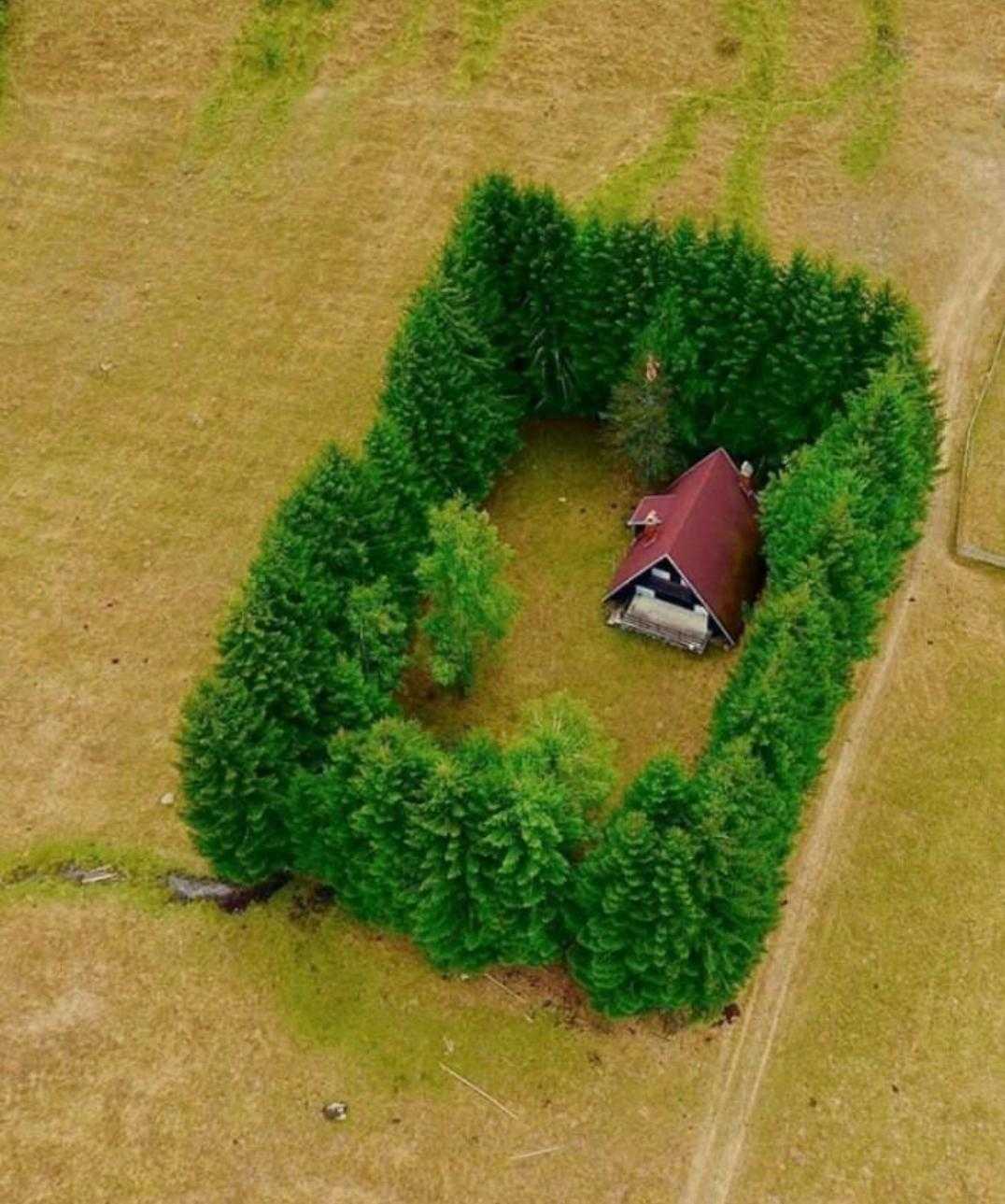 aerial view of a small house in a field with a heart shaped hedge