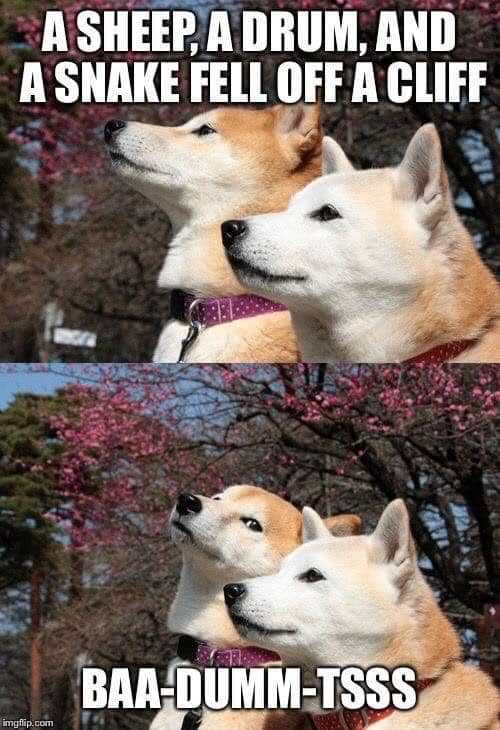 two dogs are looking up at each other with a caption of a joke