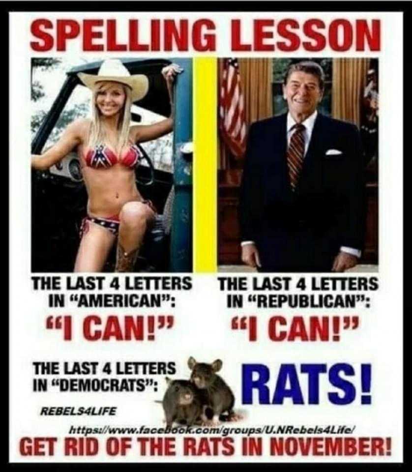 a poster with a picture of a woman in a bikini and a rat