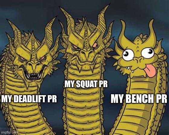 three cartoon dragon heads with the words my squat pr my medaupt pr my bench pr