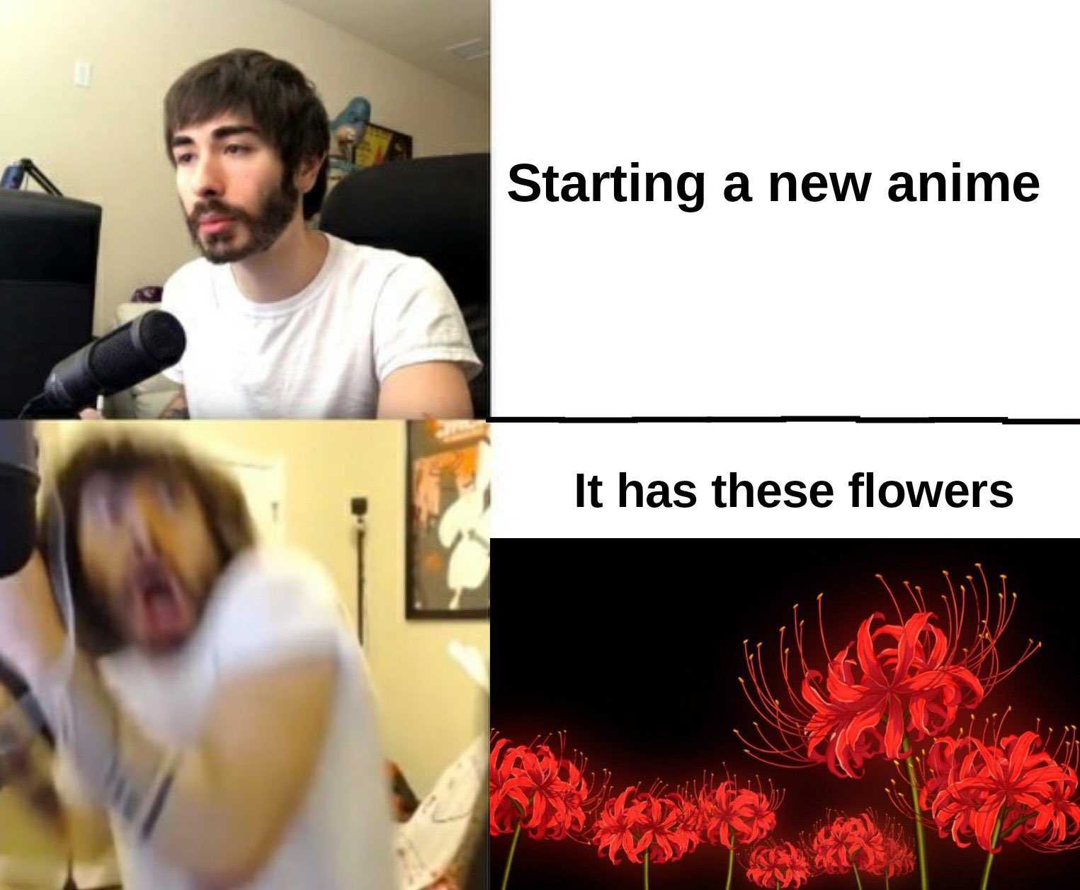 image of a man with a microphone and a picture of a flower